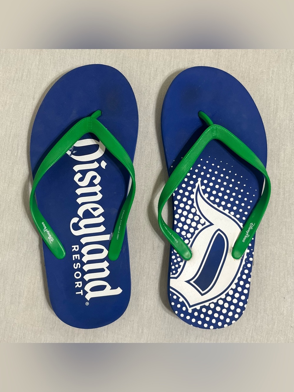 Disneyland Resort Men's Blue & Green Disney Flip-Flops